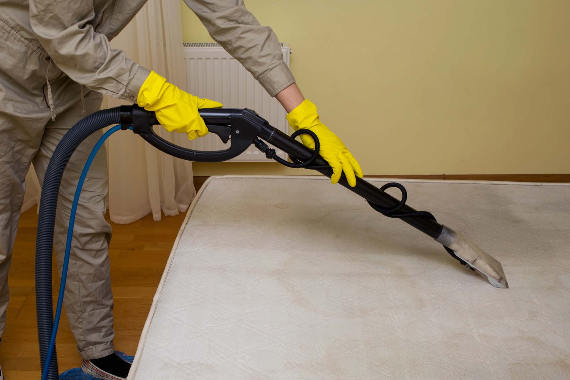 dry cleaning of a mattress